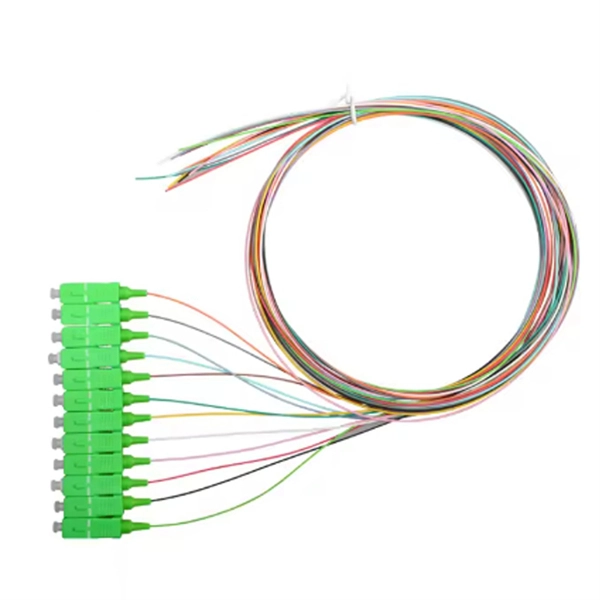 Where in the UAE can I buy a network server rack 