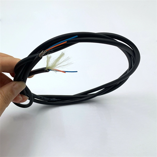 The role of fiber optic cables and optical modules